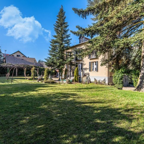 Finca Villa Ángeles – Palacete – San Rafael