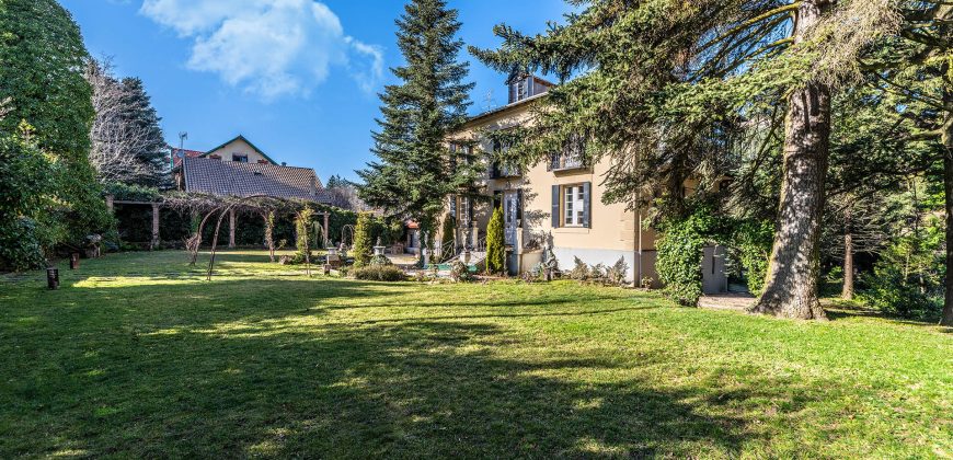 Finca Villa Ángeles – Palacete – San Rafael