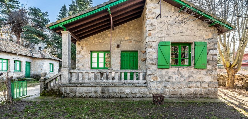 Finca Villa Ángeles – Palacete – San Rafael
