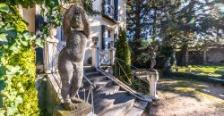 Finca Villa Ángeles – Palacete – San Rafael