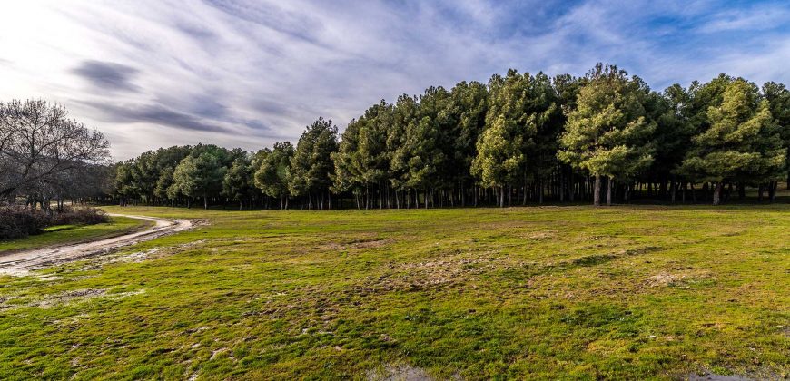 Casa en la Sierra de Madrid – Moralzarzal