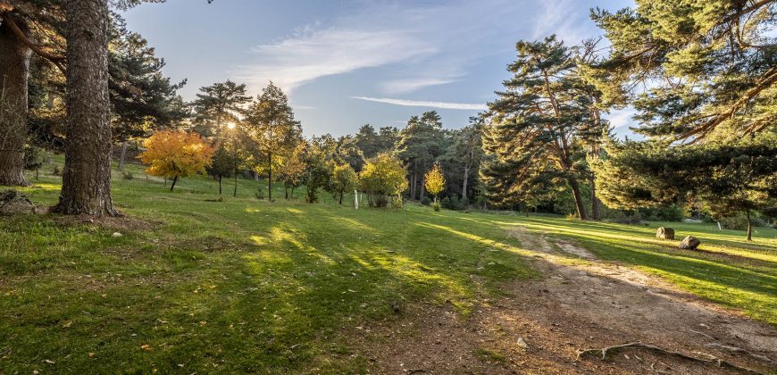 Parcela de Terreno – San Rafael – C/ Peña del Aguila 12