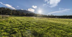 Parcela de Terreno – San Rafael – C/ Peña del Aguila 12